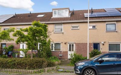 Delkamp 5