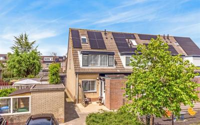 Haagwinde 16