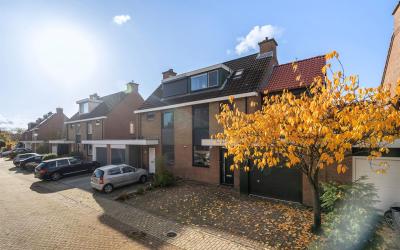 Hovenier 35