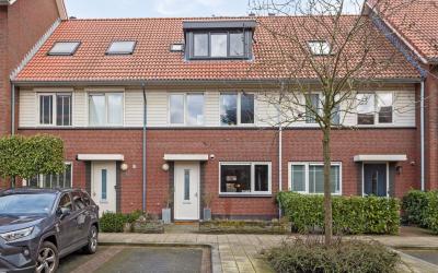 Goudzoeker 24
