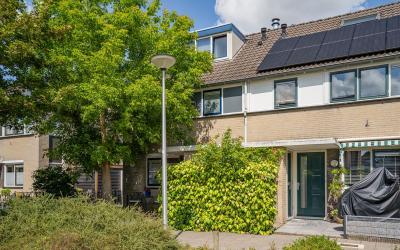 Molenaar 33