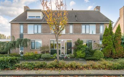 Molenaar 36