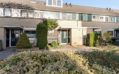Molenaar 9