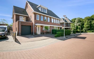 Aalscholver 13