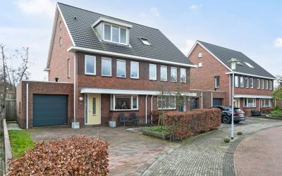 Aalscholver 5