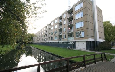 Bosseplaat 93
