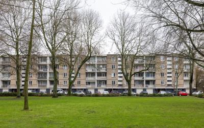Langeplaat 135