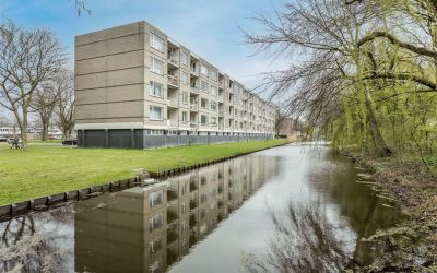 Langeplaat 237