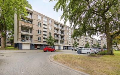 Ruygeplaat 77