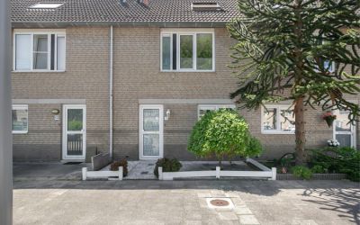 Vloedlijn 11