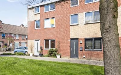 Ridderspoor 42