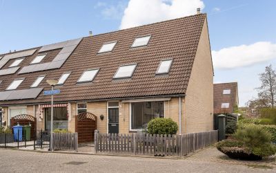 Zilverschoon 18