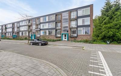 Wijnruitstr. 23
