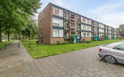 Wijnruitstr. 109