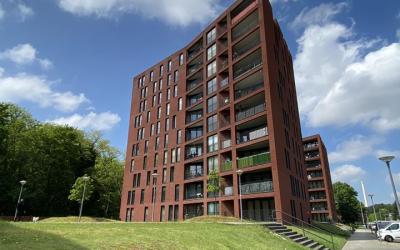 Wijnruitstr. 271