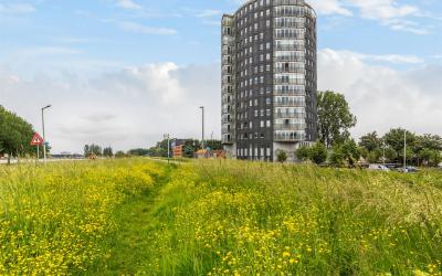 Uiterdijk 82