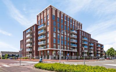 Marrewijkla. 148