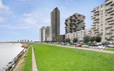 Hongerlands. 956