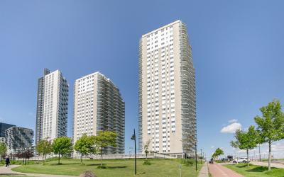 Hongerlands. 1338