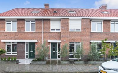 Joris van B. 46