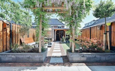 Japhet Hoor. 81