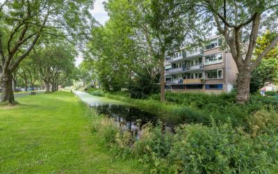 Rembrandtst. 46