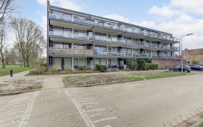 Piet Mondri. 9