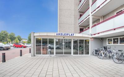Akeleistraat 38