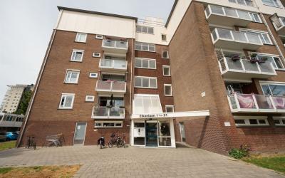 Eikenlaan 19-B