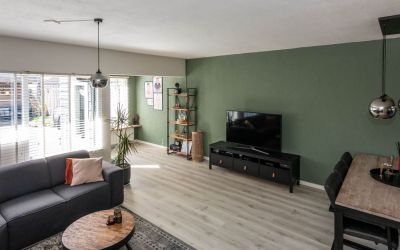 Slakkenveen 245