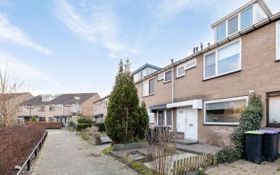 Kikkerveen 219