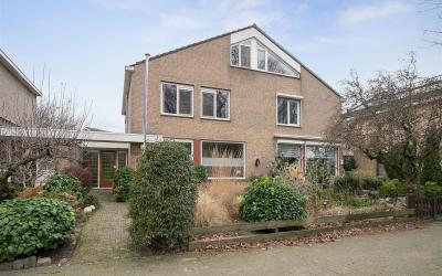 Kikkerveen 437