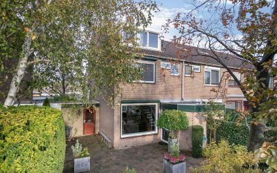 Kikkerveen 218