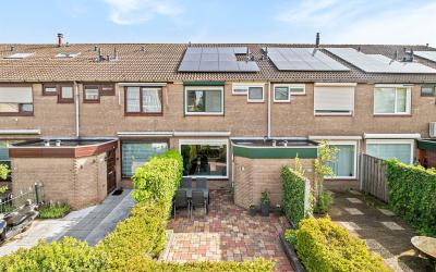 Kikkerveen 226