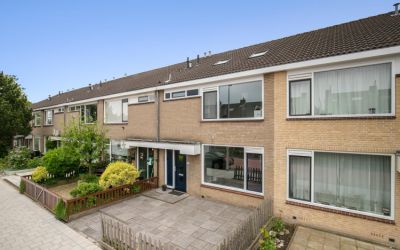 Kikkerveen 312