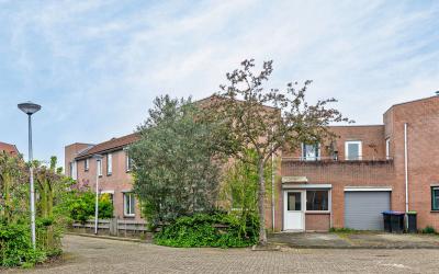 Mandarijnga. 28