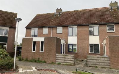 Blauwgras 29