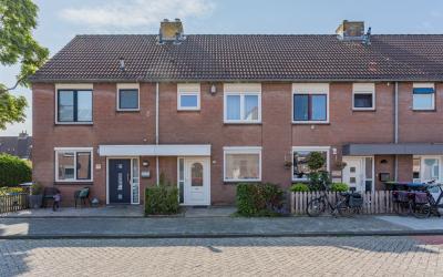 Schaduwgras 77