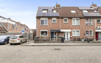 Schaduwgras 18