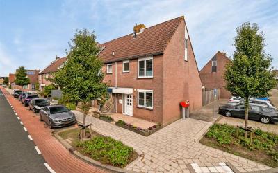 Schaduwgras 20