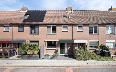 Schaduwgras 26