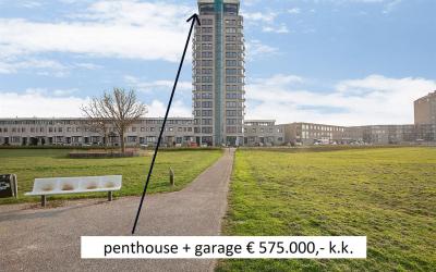 Maasbouleva. 48-P