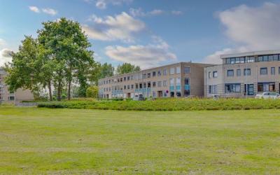 Maasbouleva. 116