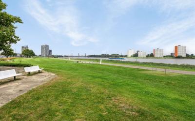 Maasbouleva. 136