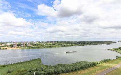 Maasbouleva. 149