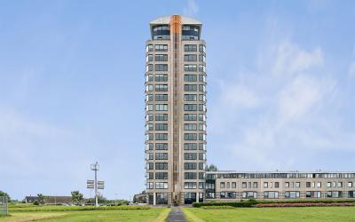 Maasbouleva. 241