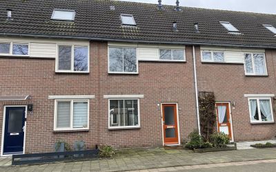 Vogelenzang. 31