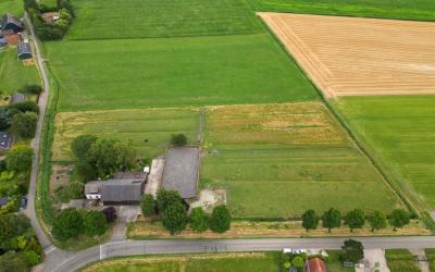 Oude Waaldi. 2