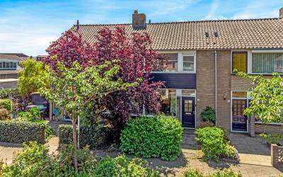 Blicksteijn 4