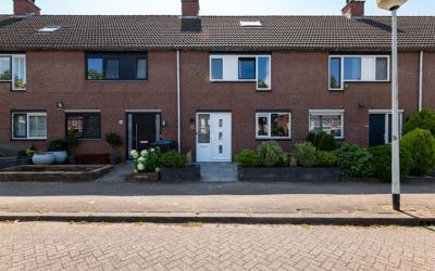 Vuurvlinder 37